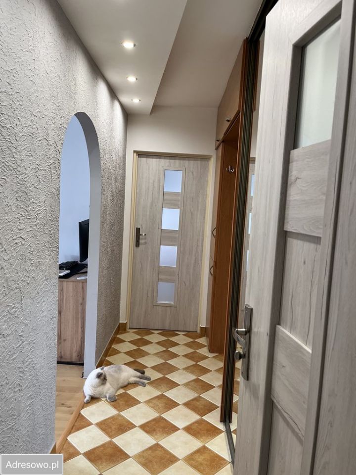 Mieszkanie 2-pokojowe Piotrków Trybunalski. Zdjęcie 5