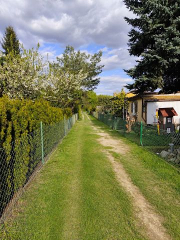 Działka rod Poznań. Zdjęcie 21