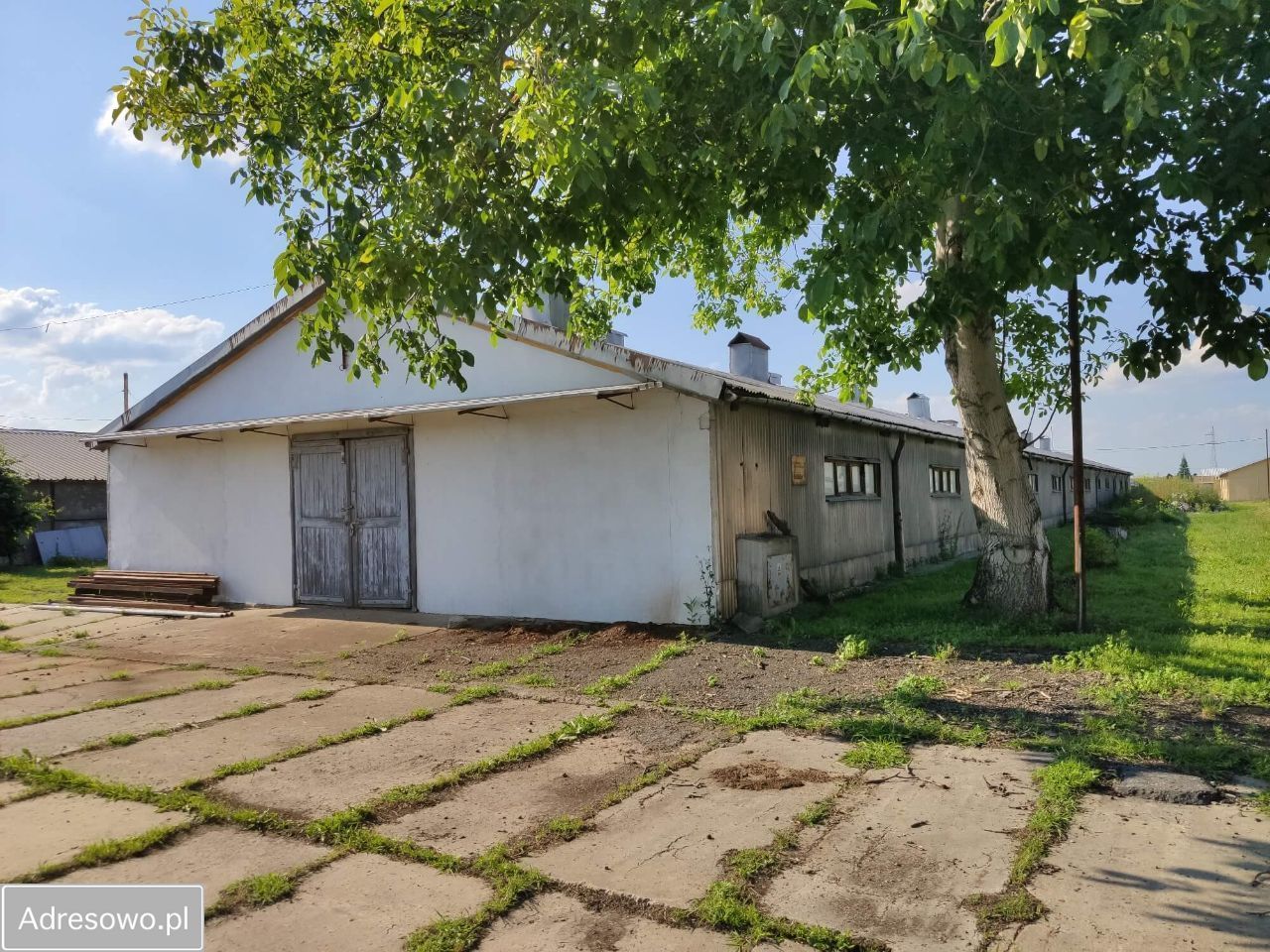 Hala/magazyn Pustków. Zdjęcie 2