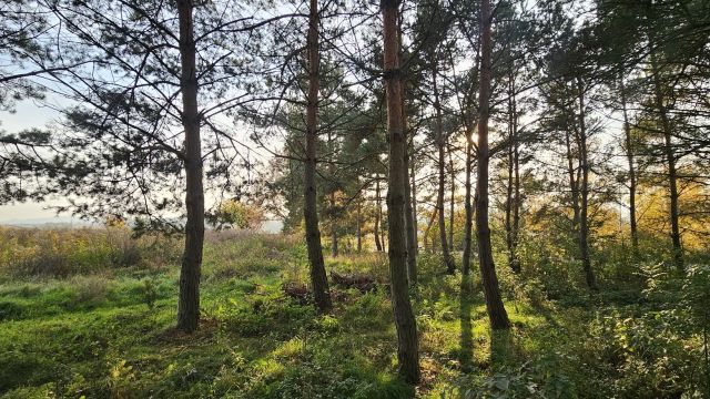 Działka budowlana Nasławice, ul. 1 Maja. Zdjęcie 3