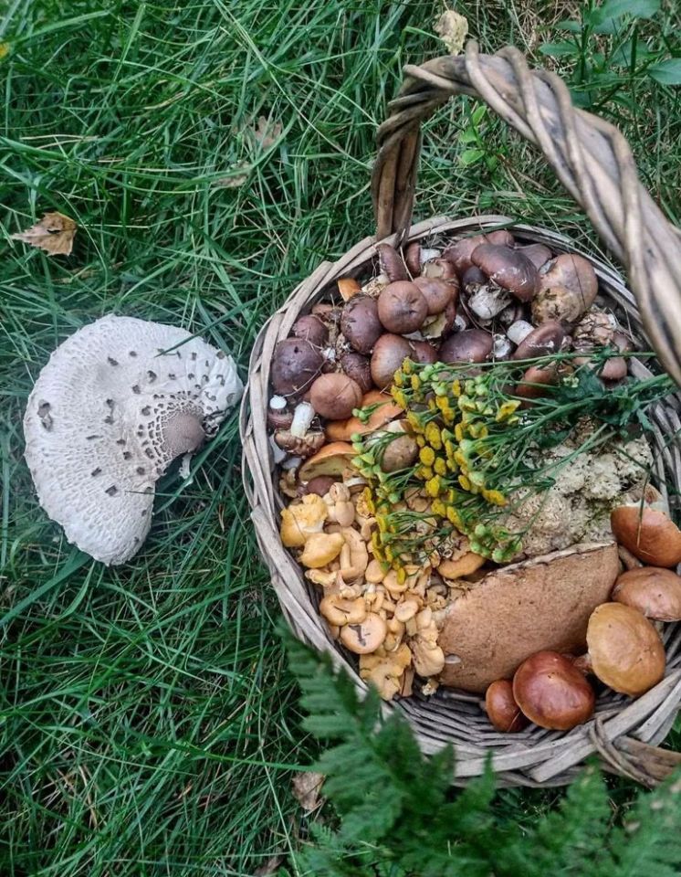 Mieszkanie 2-pokojowe Mostowo. Zdjęcie 16