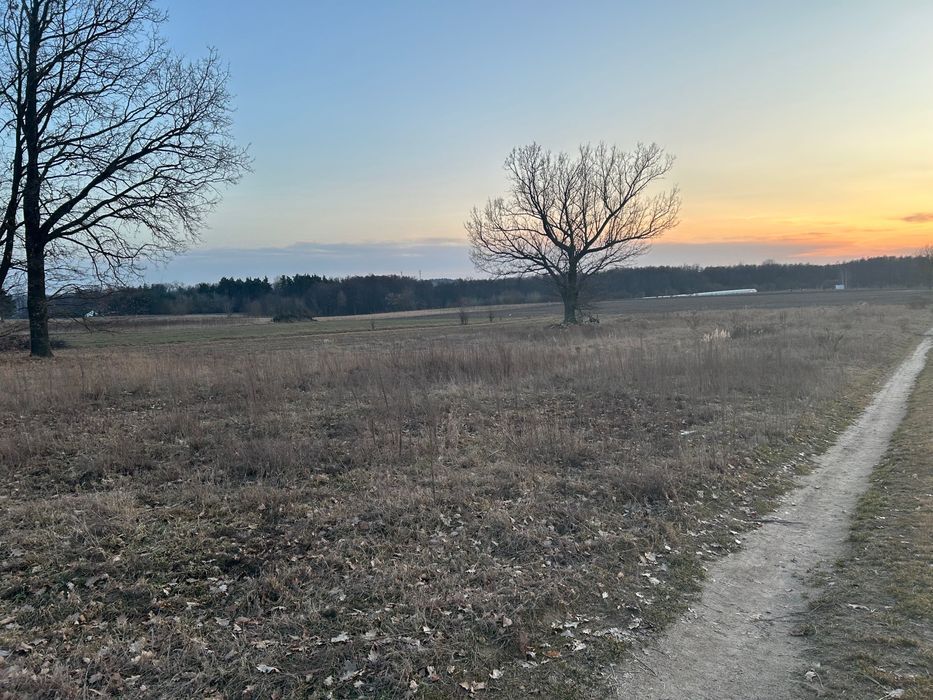 Działka rolno-budowlana Promna. Zdjęcie 5