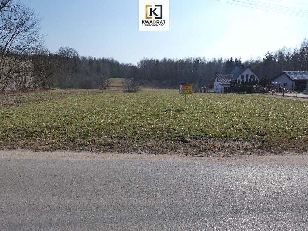 Działka Budy Wielgoleskie. Zdjęcie 3
