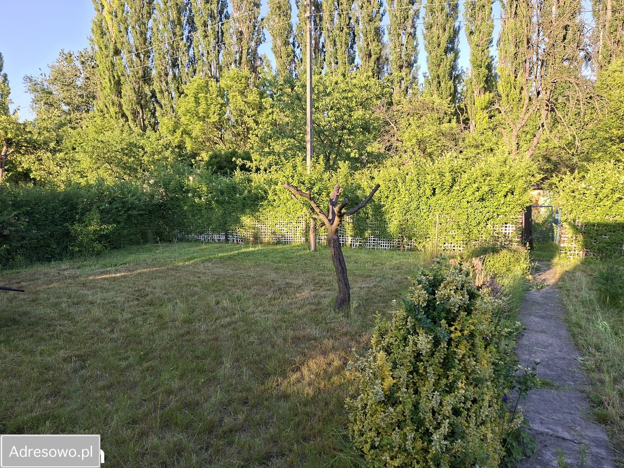 Działka rod Czeladź Piaski. Zdjęcie 9