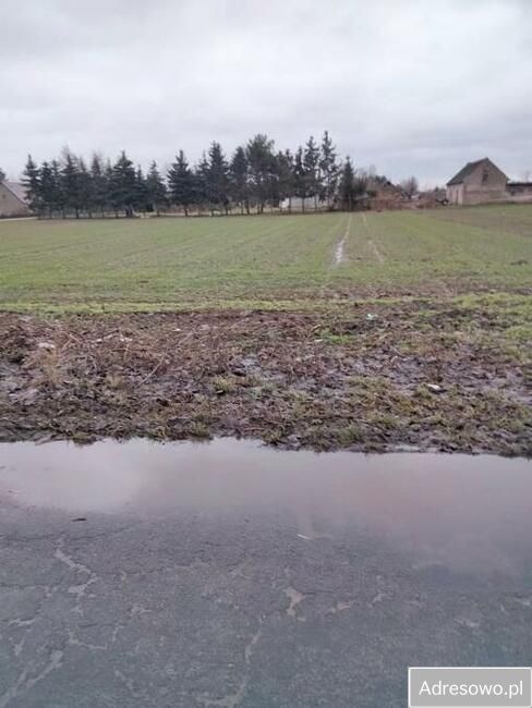 Działka rolno-budowlana Warnice. Zdjęcie 5