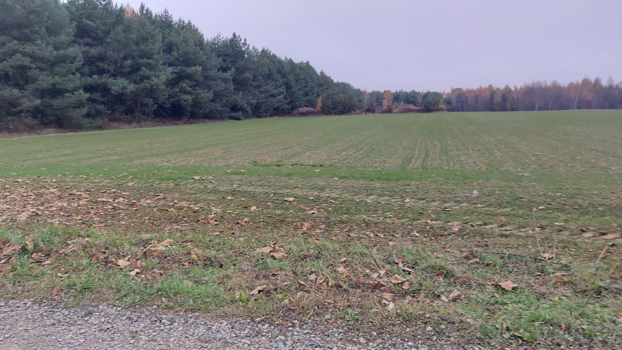 Działka budowlana Żabia Wola. Zdjęcie 6