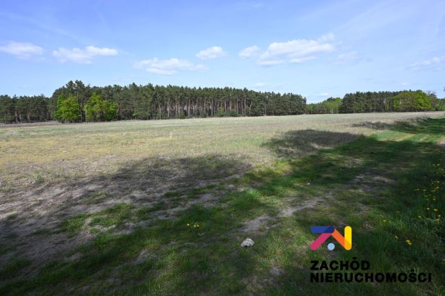 Działka budowlana Bronków. Zdjęcie 4