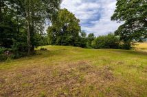 Działka budowlana Połęczyno. Zdjęcie 1