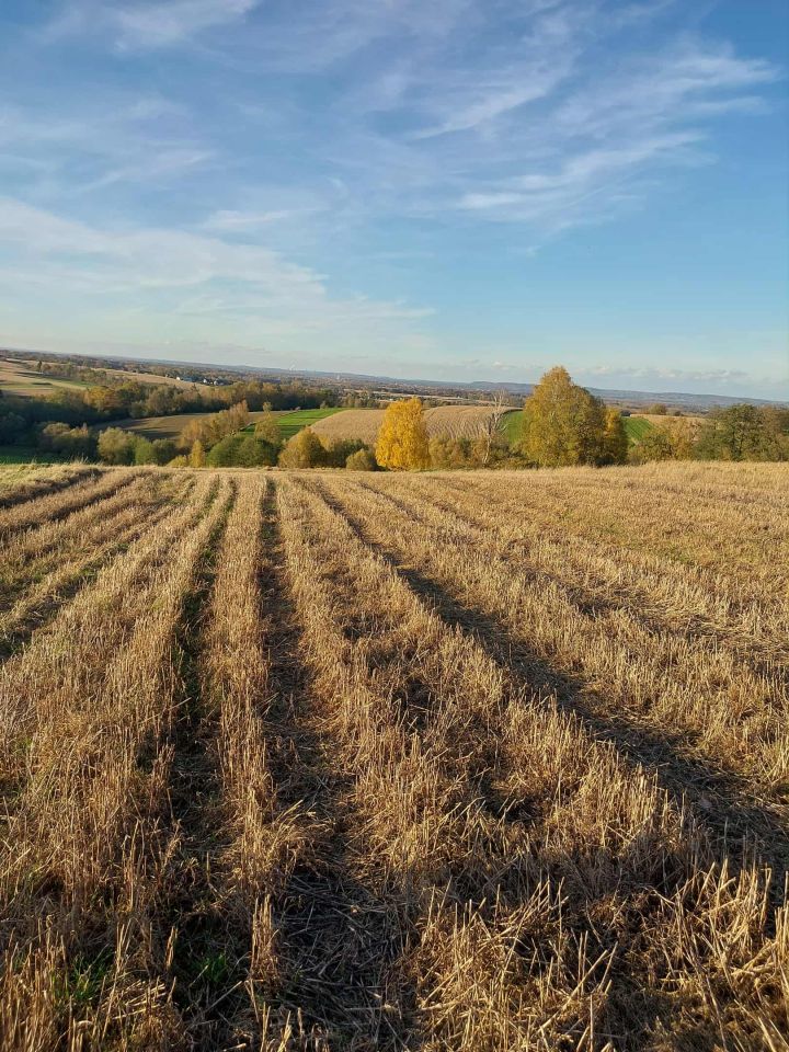 Działka rolna Radocza, ul. Jagiellońska. Zdjęcie 3