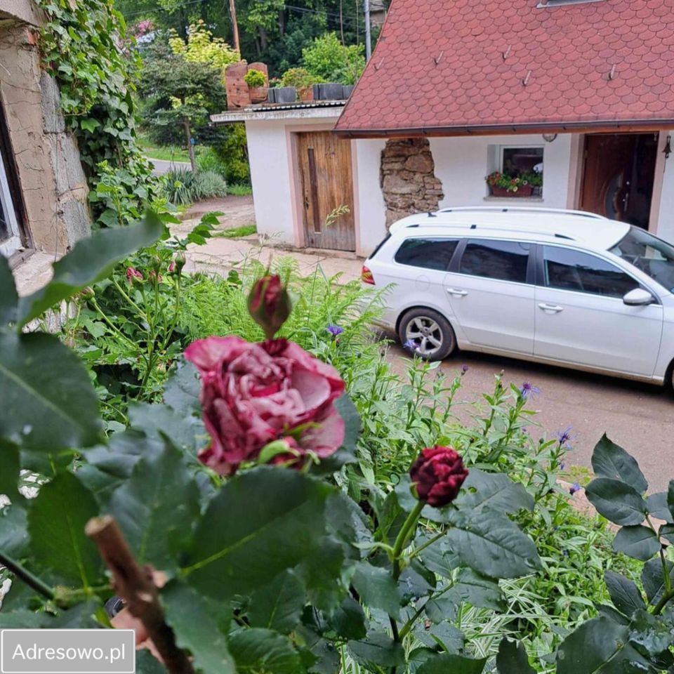 dom wolnostojący, 6 pokoi Rościszów. Zdjęcie 17