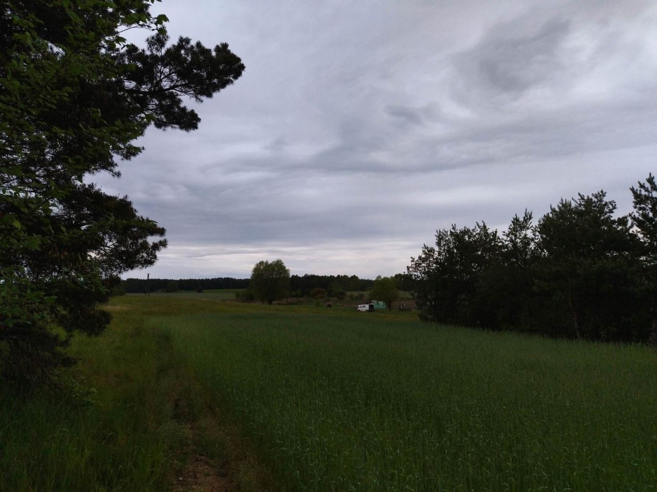 Działka budowlana Świerczyna. Zdjęcie 2