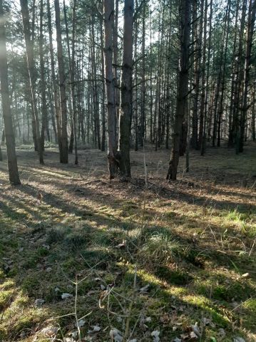 Działka budowlana Radziądz. Zdjęcie 1