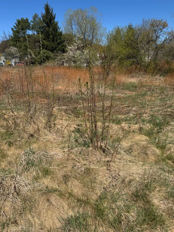 Działka budowlana Piechowice. Zdjęcie 5