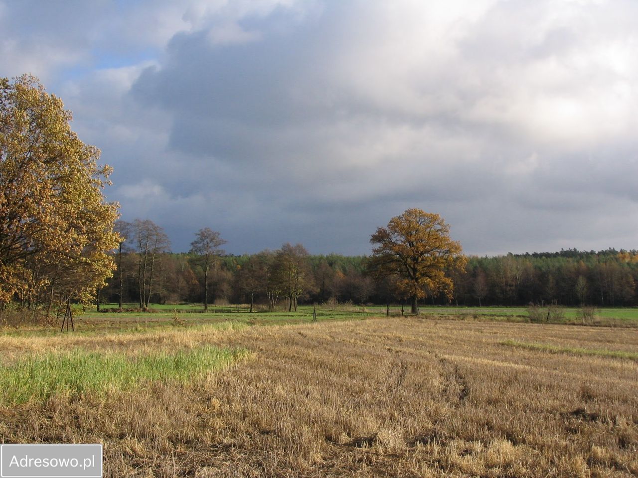 Działka budowlana Radziwiłłów. Zdjęcie 13