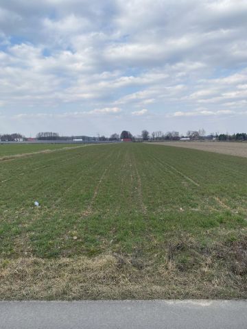 Działka inwestycyjna Horbów-Kolonia. Zdjęcie 1