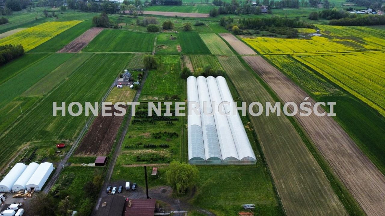 Działka inwestycyjna Jankowice, ul. Złote Łany. Zdjęcie 6