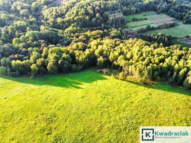 Działka rolna Lutcza. Zdjęcie 5