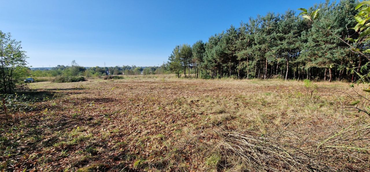 Działka budowlana Jędrzejów, ul. Akacjowa. Zdjęcie 7