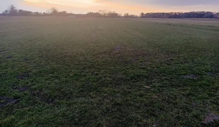 Działka rolna Radoszewice, ul. Trakt Siemkowicki