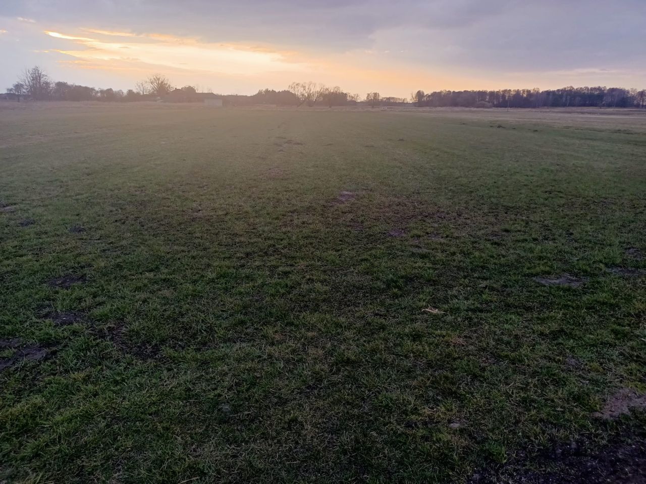 Działka rolna Radoszewice, ul. Trakt Siemkowicki. Zdjęcie 1
