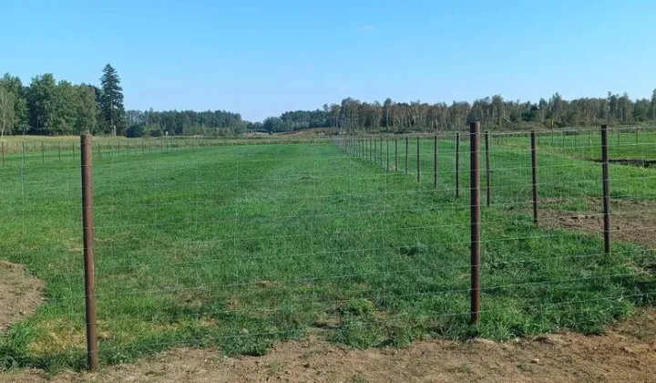 Działka Mazuchówka