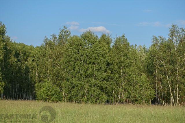 Działka budowlana Grzepnica. Zdjęcie 7