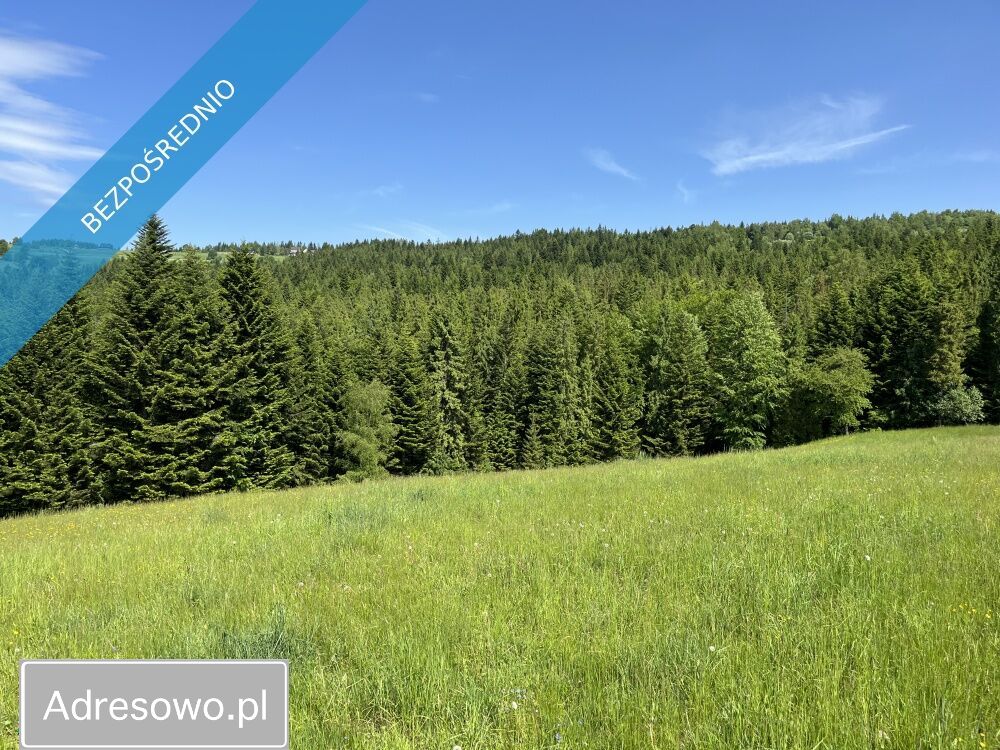 Działka budowlana Bogdanówka. Zdjęcie 2