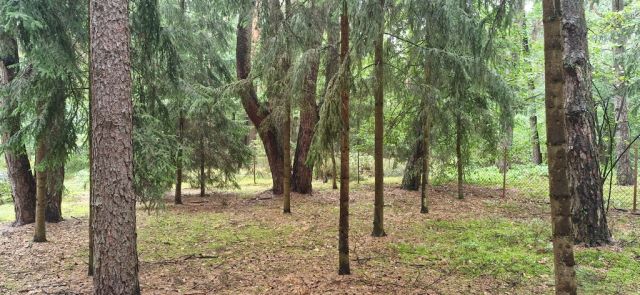 dom wolnostojący, 4 pokoje Osiedle Wilga. Zdjęcie 10