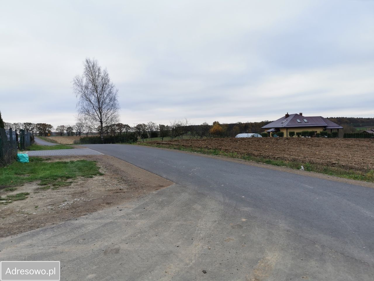 Działka rolno-budowlana Dankowo. Zdjęcie 5
