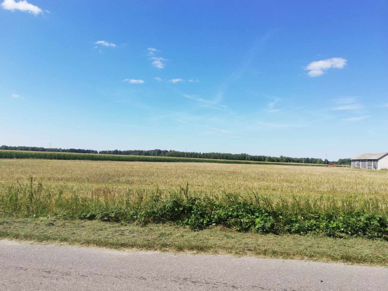 Działka budowlana Orzechów-Kolonia. Zdjęcie 7