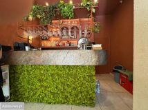 Lokal Szczecin Centrum, ul. Jagiellońska. Zdjęcie 4