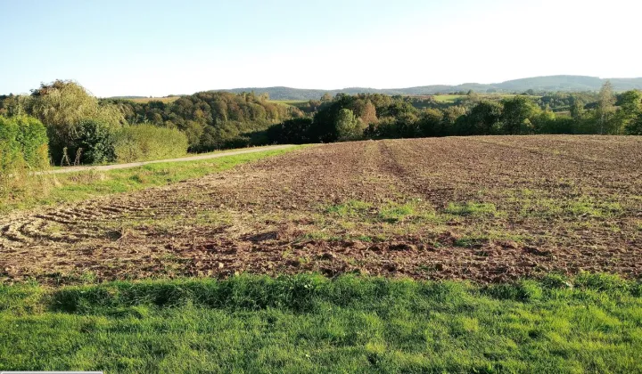 Działka rolno-budowlana Joniny