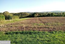 Działka rolno-budowlana Joniny