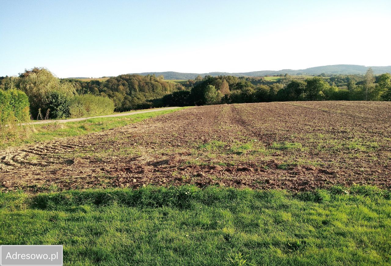 Działka rolno-budowlana Joniny