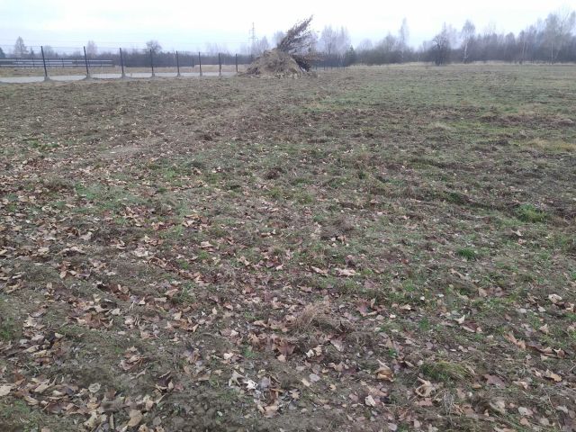 Działka rolno-budowlana Smogorzów. Zdjęcie 6