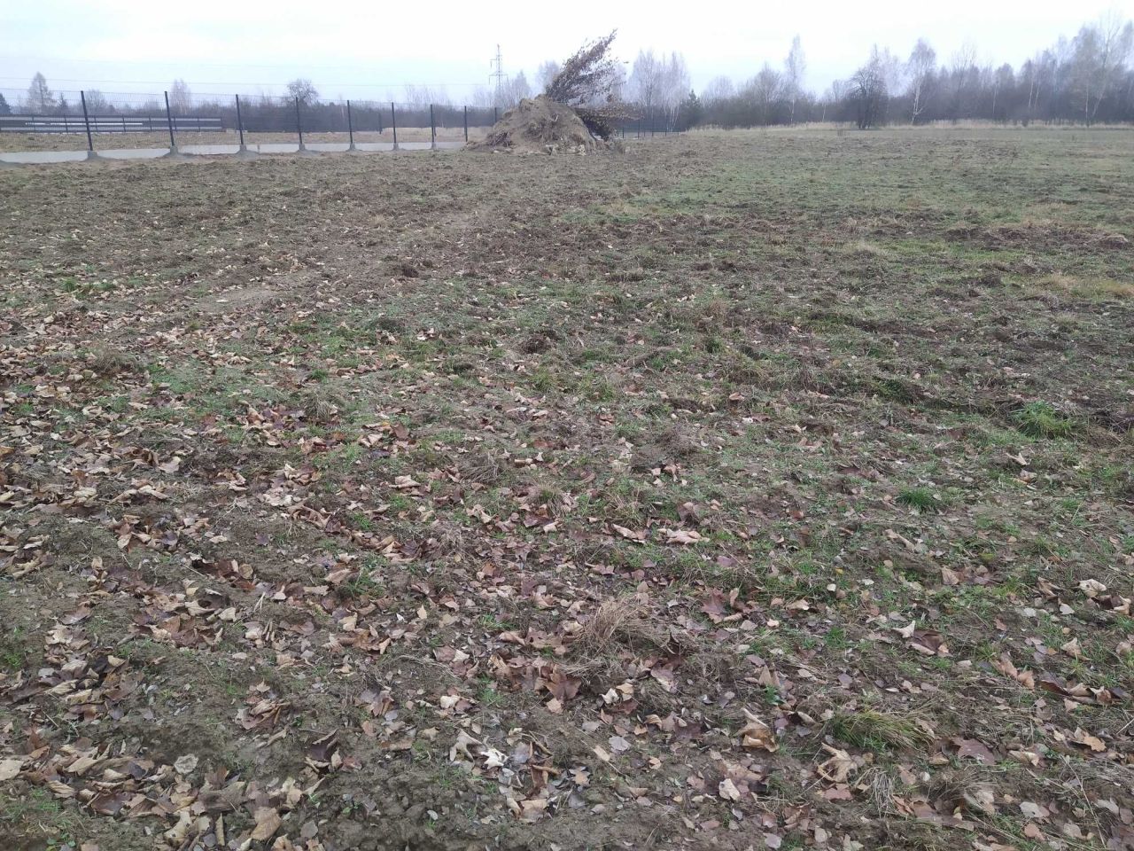 Działka rolno-budowlana Smogorzów. Zdjęcie 6