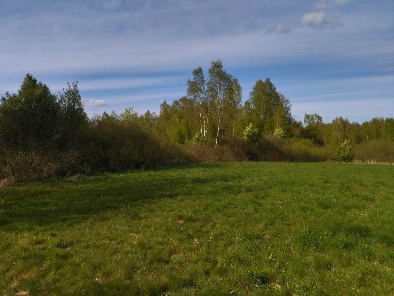 Działka budowlana Wielimowo. Zdjęcie 8