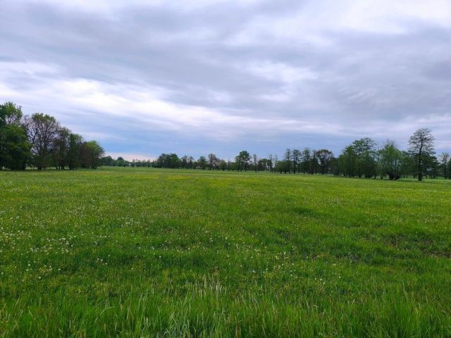 Działka rolna Bronów, ul. Kopaniny. Zdjęcie 1