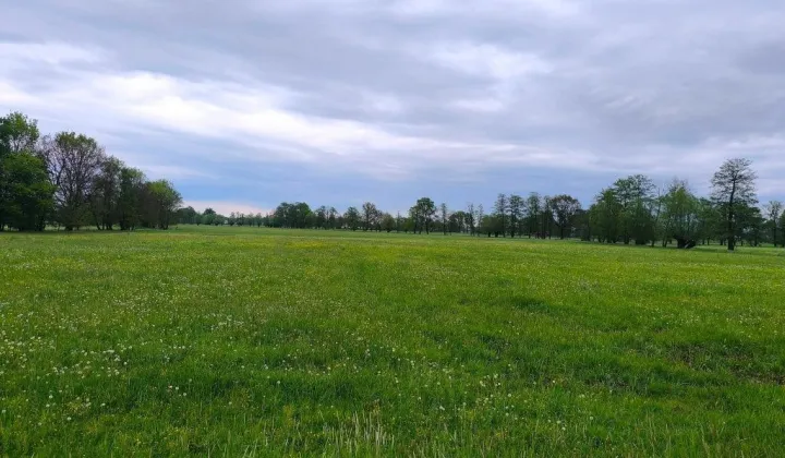 Działka rolna Bronów, ul. Kopaniny