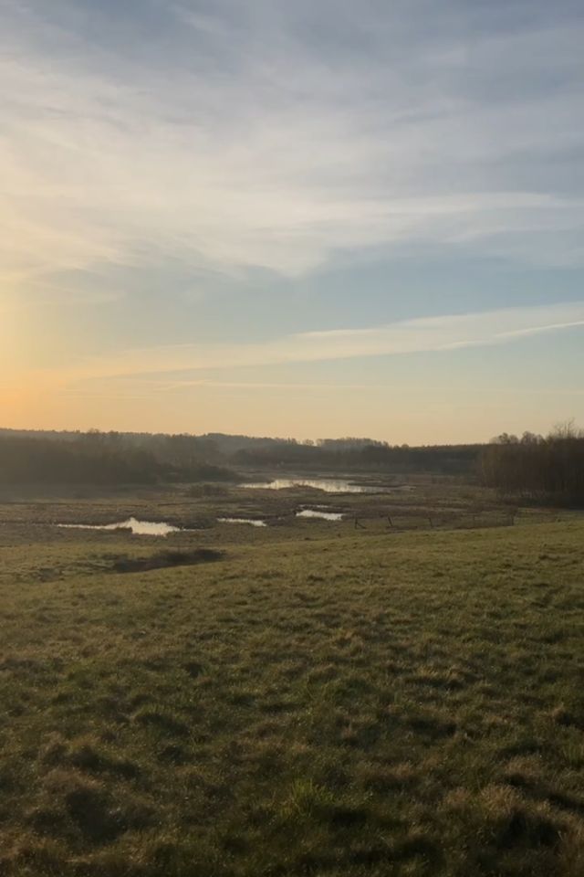 dom wolnostojący, 4 pokoje Grotowo. Zdjęcie 11