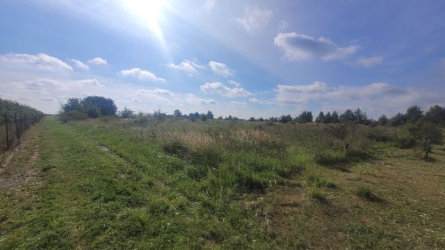 Działka rolna Przecław. Zdjęcie 1