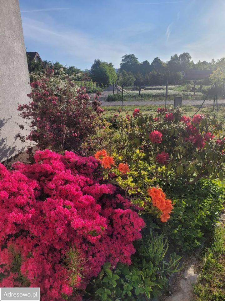 dom wolnostojący, 5 pokoi Dziwiszów, ul. Kaczawska. Zdjęcie 7