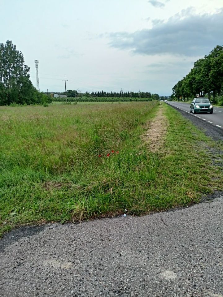 Działka rolno-budowlana Słomin. Zdjęcie 4