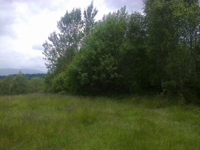 Działka inwestycyjna Nieledwia. Zdjęcie 5