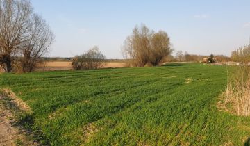 Działka siedliskowa Stegienka