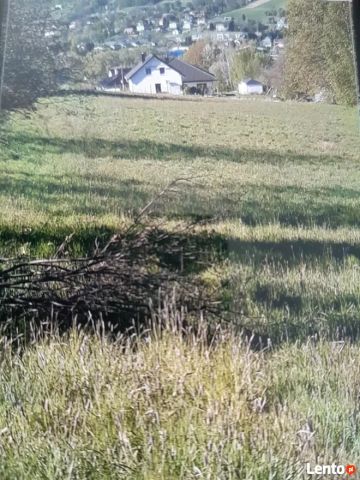 Działka budowlana Tyczyn. Zdjęcie 1