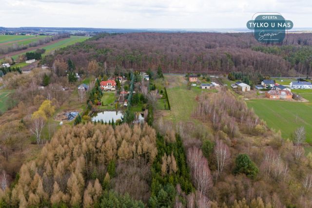 Działka inwestycyjna Paprotnia. Zdjęcie 12