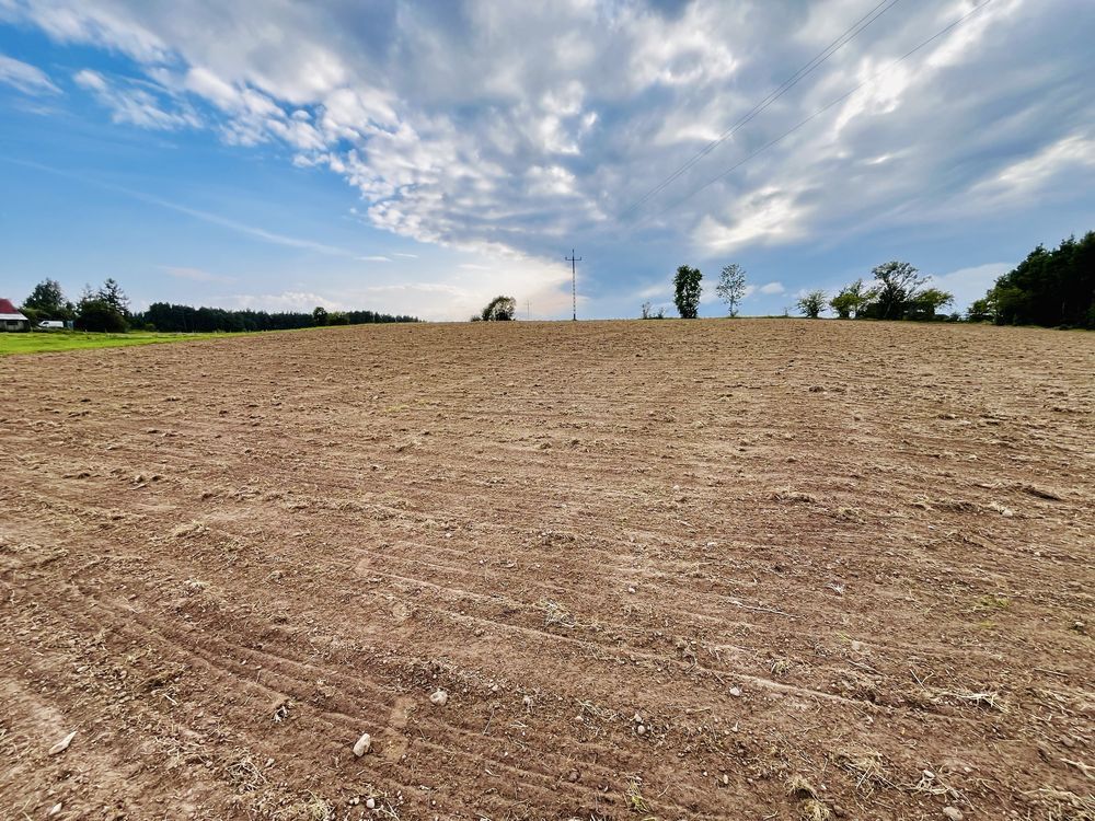 Działka budowlana Wipsowo. Zdjęcie 3