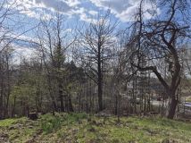 Działka rolno-budowlana Grabówki. Zdjęcie 2