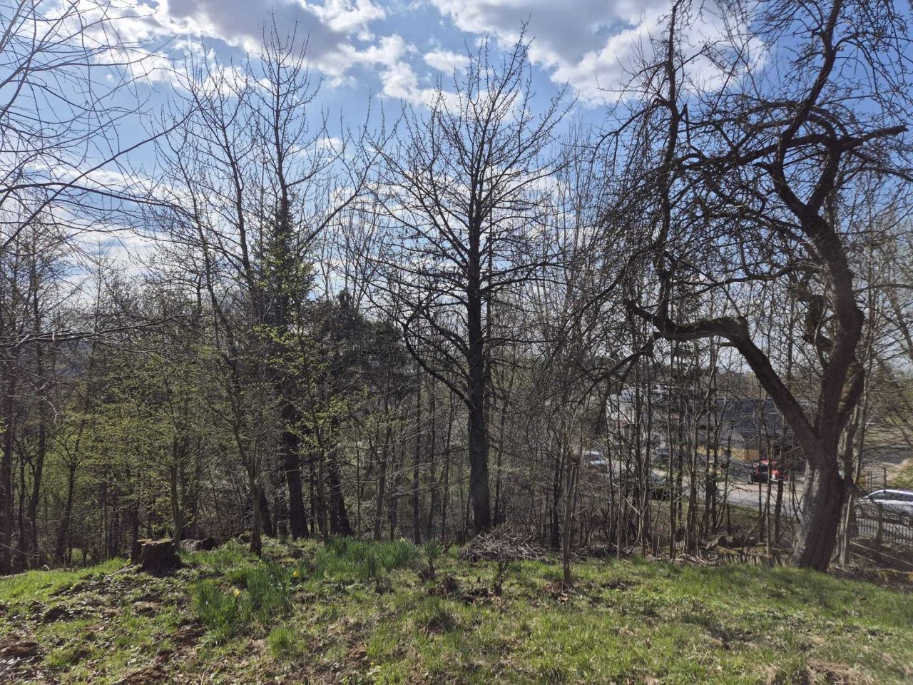 Działka rolno-budowlana Grabówki. Zdjęcie 3